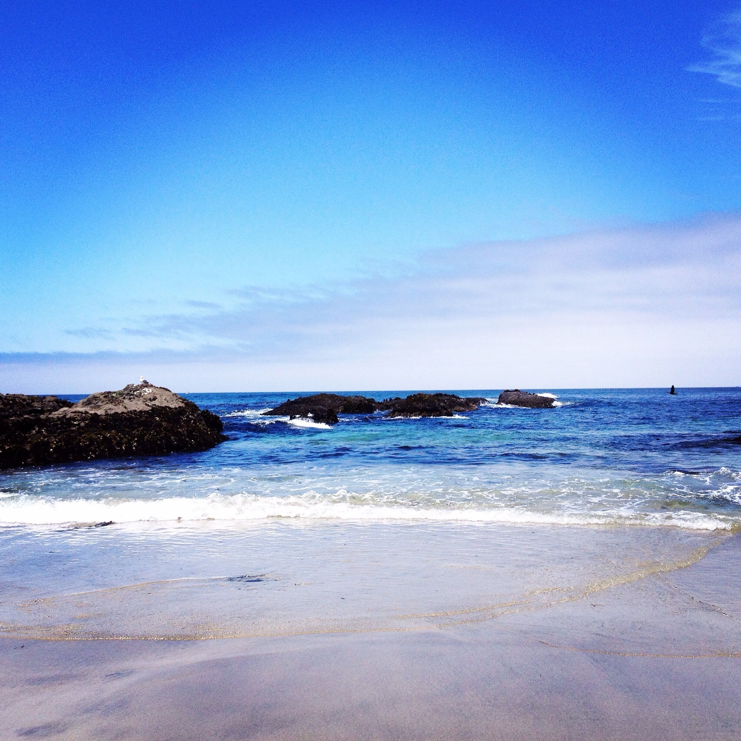 🌊 water was cold but I couldn't resist a nice dip:)