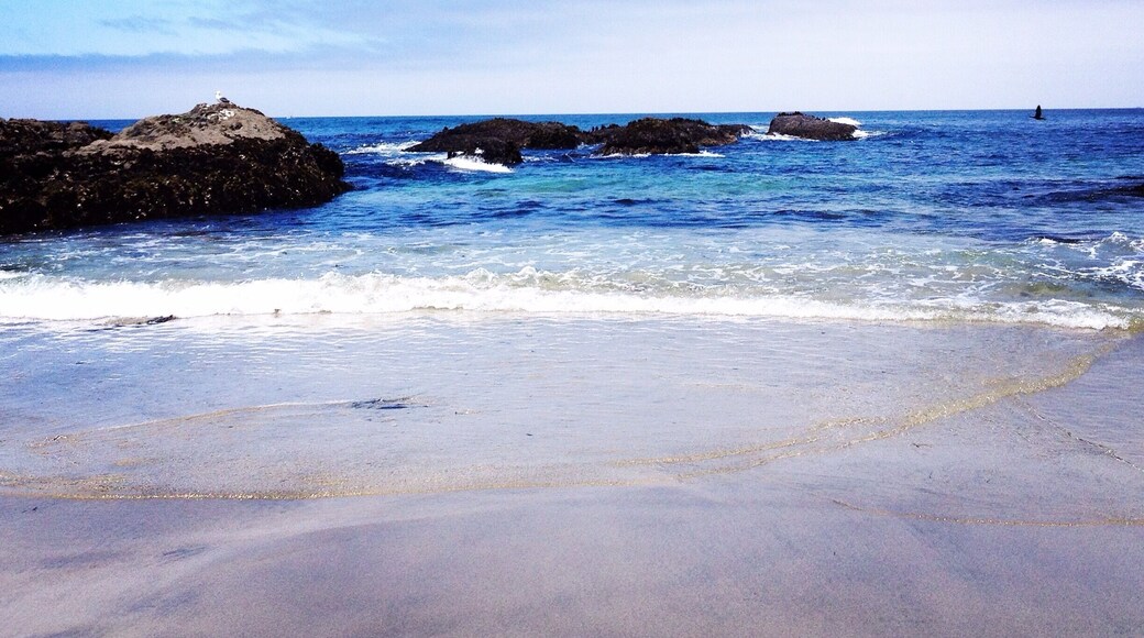 🌊 water was cold but I couldn't resist a nice dip:)