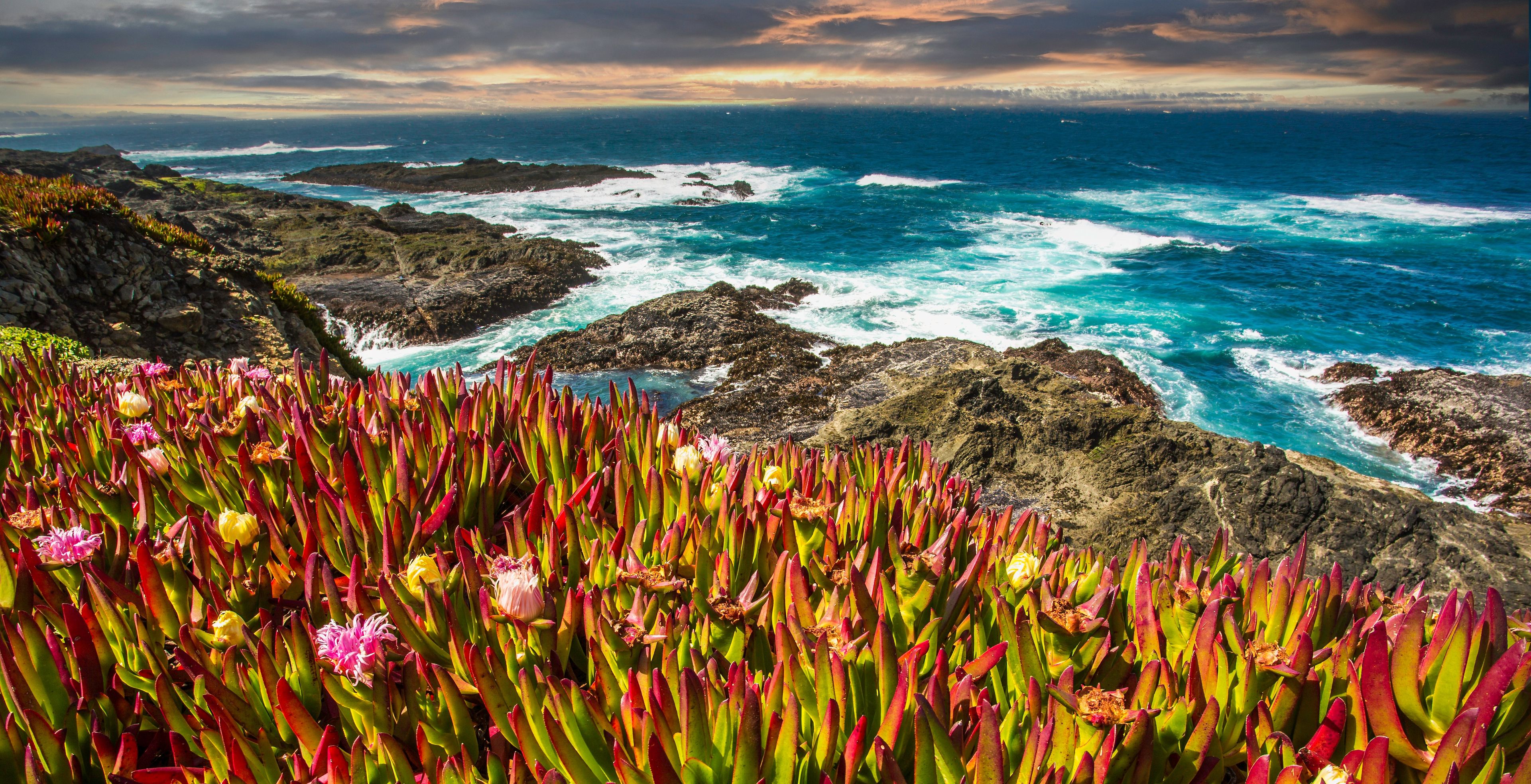 A coastal landscape with rocky cliffs and vibrant red and green vegetation.