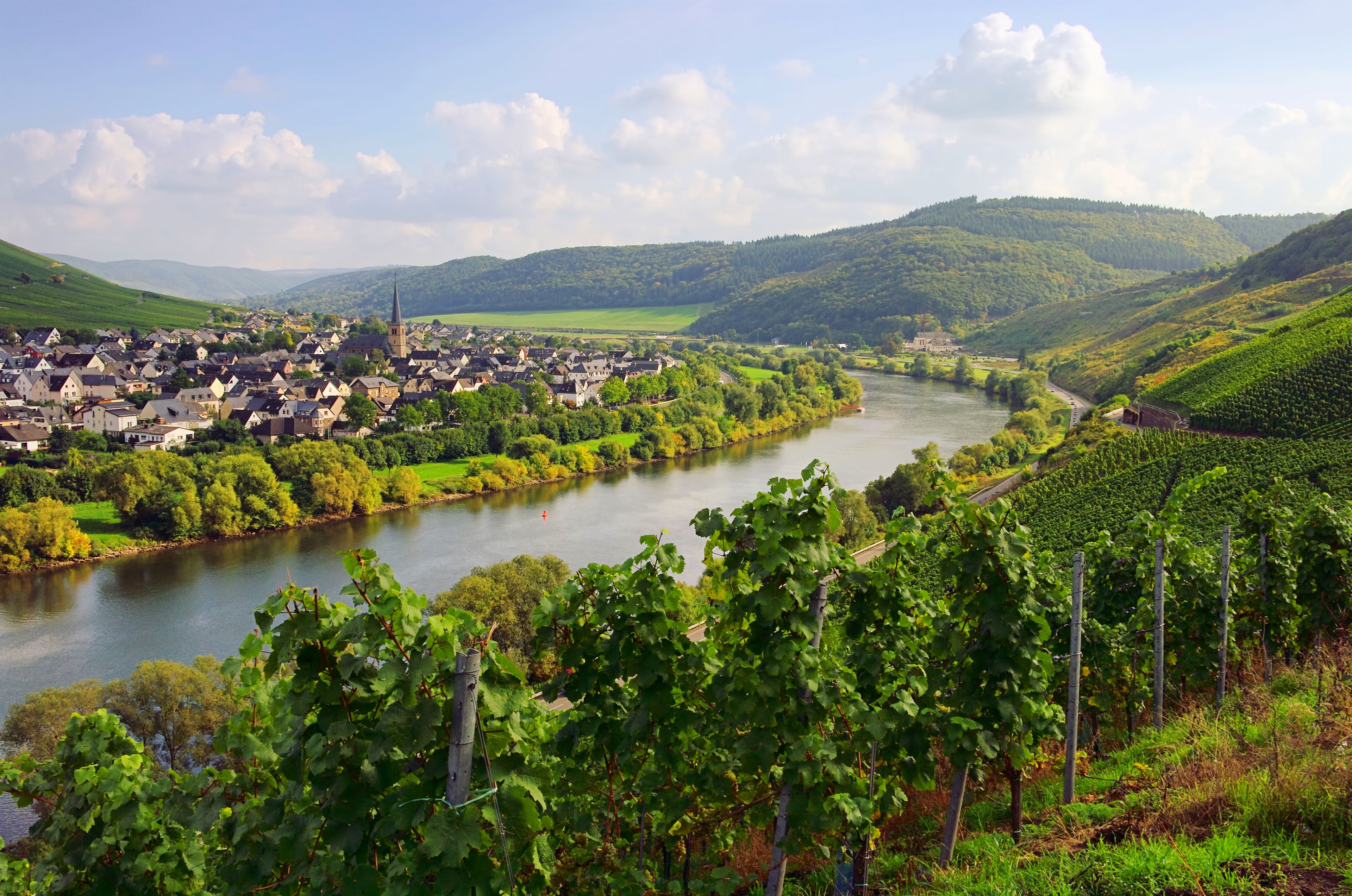 Une rivière traverse une ville entourée de collines et de vignobles.