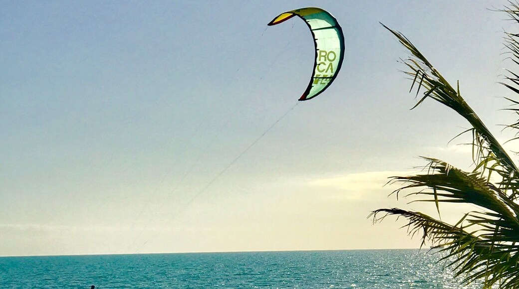 Quiet beach in The Turks and Caicos - great place to go to the beach with a picnic and watch the kite surfers. Good for swimming 🏊♀️
#BeachBound #Green #TurksandCaicos