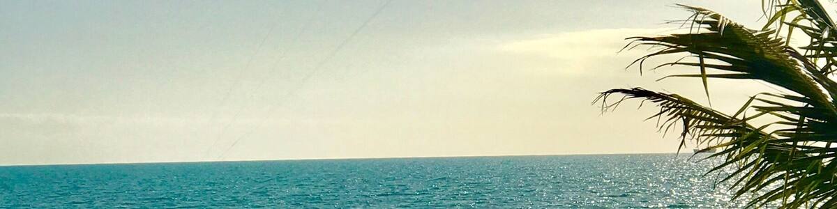 Quiet beach in The Turks and Caicos - great place to go to the beach with a picnic and watch the kite surfers. Good for swimming 🏊♀️
#BeachBound #Green #TurksandCaicos