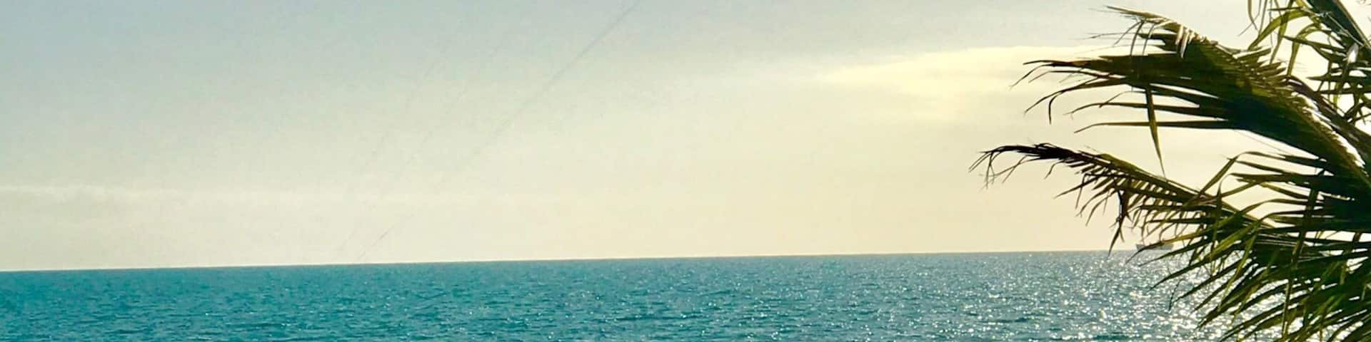 Quiet beach in The Turks and Caicos - great place to go to the beach with a picnic and watch the kite surfers. Good for swimming 🏊♀️
#BeachBound #Green #TurksandCaicos