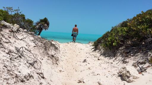 Provo, Turks and Caicos has a ton of great beaches. We went exploring ok this dirt road near Long Bay Beach, we were not disappointed. #bvsblue #beach #allthatblue #saltlife #explore #turksandcaicos #provo