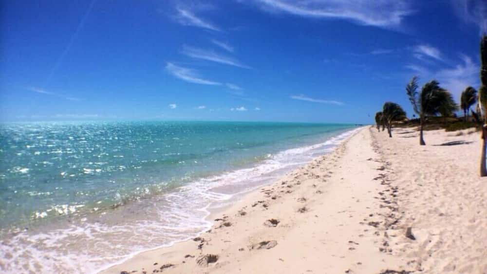 Long Bay Beach is a beautiful, secluded strip of white sand in the south east part of Providenciales. Come here to watch kite surfers showcase their tricks. A heaven spot for pros and beginners who drift to this beach for the best wind, waters, and scenery in the world. #beach