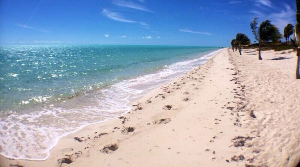 Long Bay Beach is a beautiful, secluded strip of white sand in the south east part of Providenciales. Come here to watch kite surfers showcase their tricks. A heaven spot for pros and beginners who drift to this beach for the best wind, waters, and scenery in the world. #beach