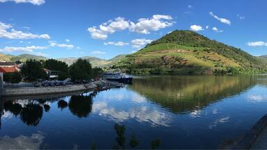 A calm lake with boats, a bridge, and a hill with vineyards.
