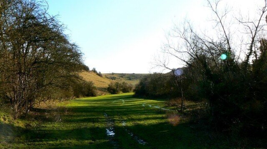 Hinton Parva combe (1) The low point of the combe is at SU228831 and runs south and uphill for about a kilometre to SU226820. This is the view from the low point.