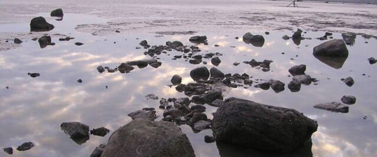 A calm lake with scattered rocks and a distant shoreline.