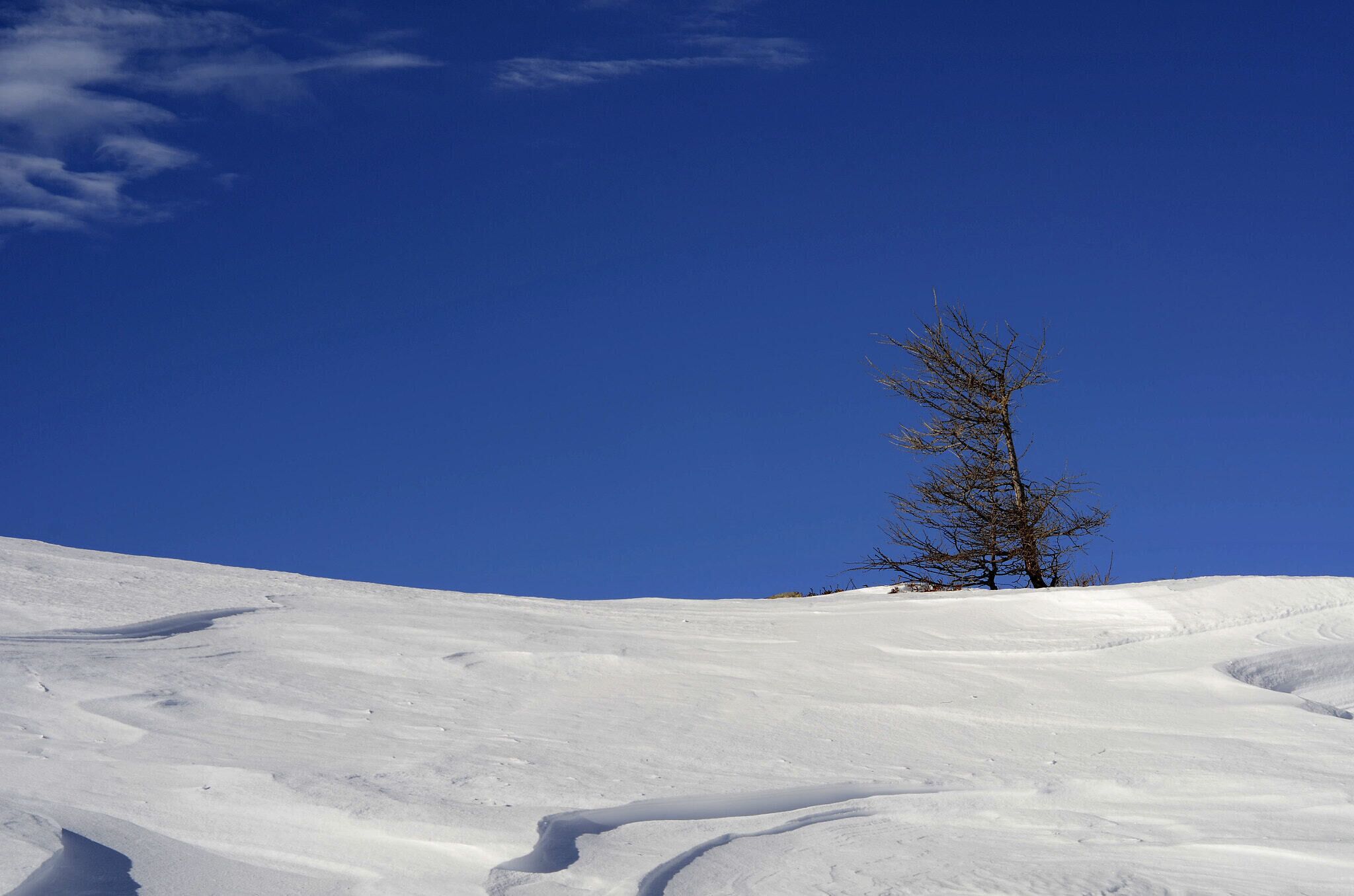 500px provided description: Minimal []