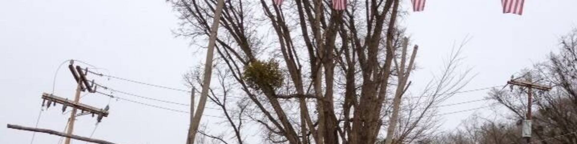 If your ever driving through the area, you've got to stop and check out hillbilly hotdogs! The food is great, and the service is awesome! These WV folks are so kind!!! You can walk around and check out the junk in' treasures while your food cooks!!! #roadtrip