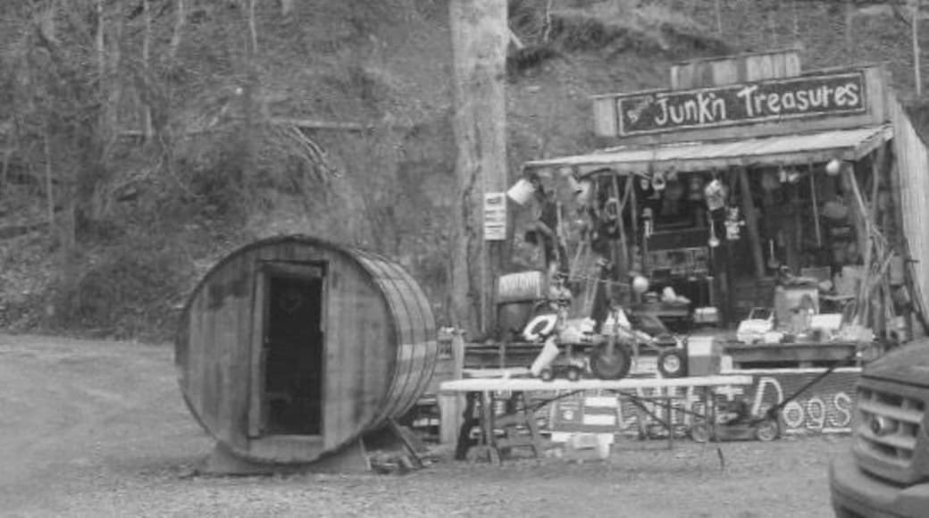 Junkin treasures at hillbilly hotdogs! #roadtrip