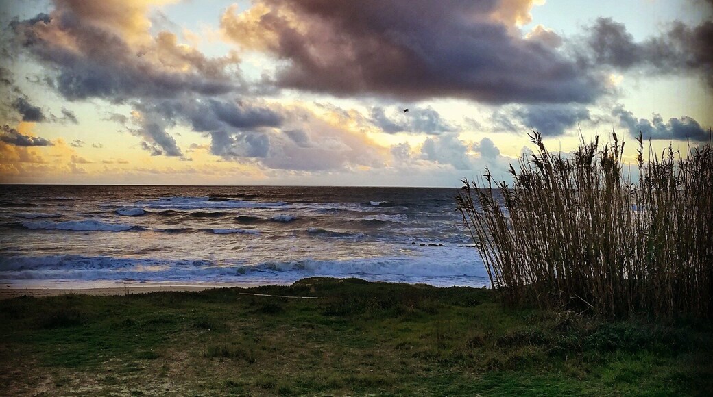#beach #beautiful #pretty
#sunset
#clouds
#homesweethome