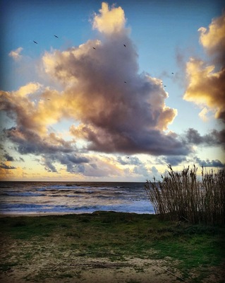 #beach #beautiful  #pretty    
#sunset
#clouds
#homesweethome