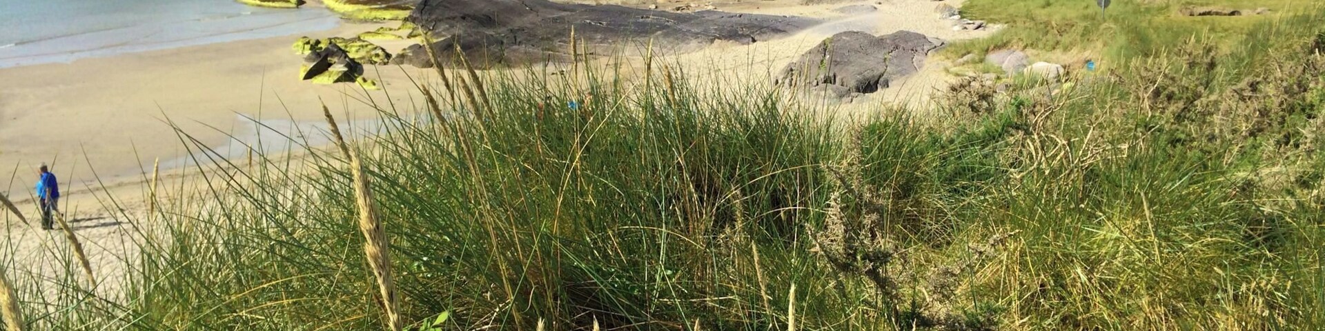 A beautiful bay set in one of the biologically diverse parts of Ireland. Stunning landscape, beautiful walks and quiet beaches for just lazin'. #beach