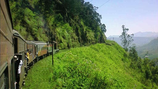 #roadtrip
Main line, Watawala, Sri Lanka.