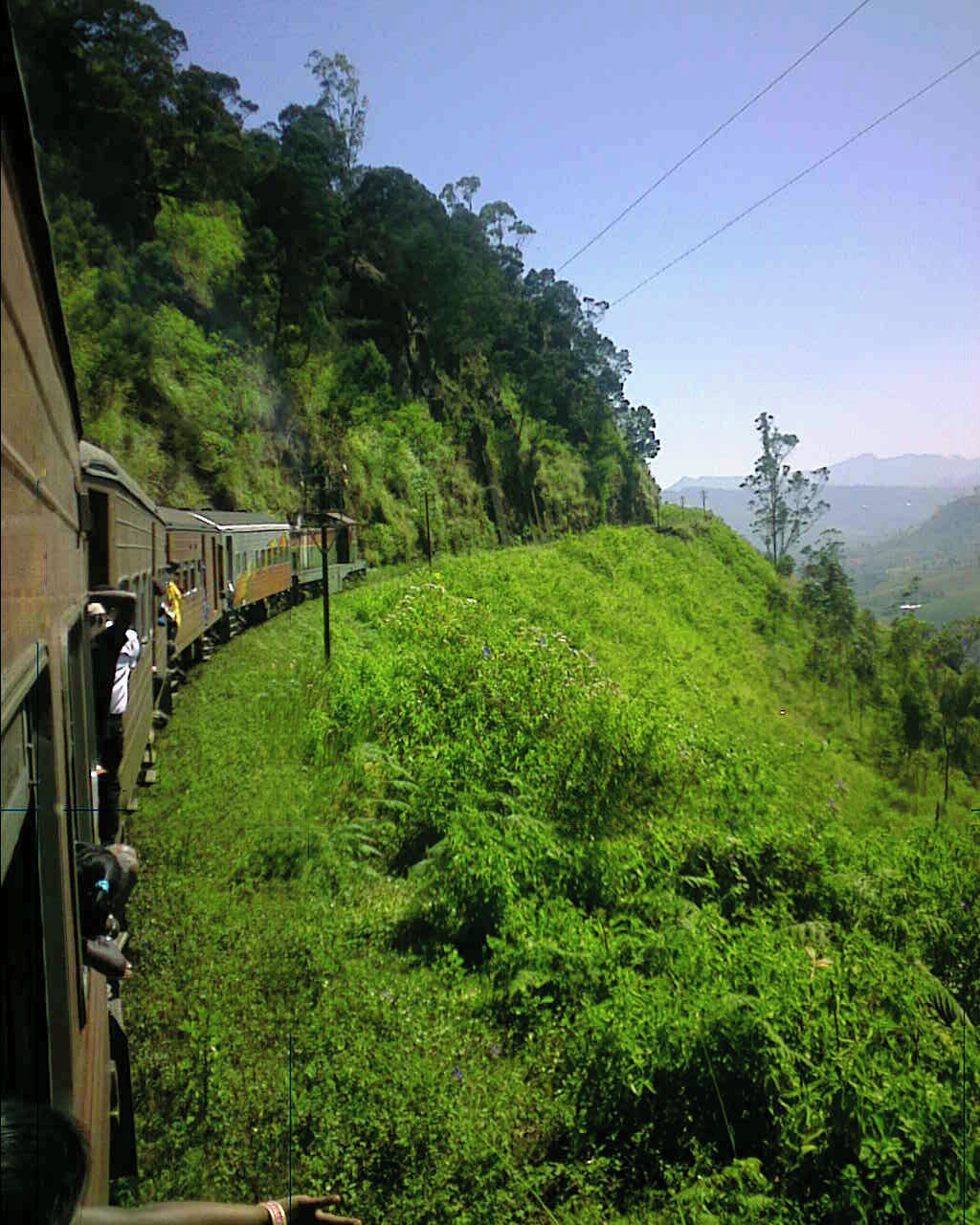 A train traveling through a lush, green landscape with dense vegetation and hills in the background.
