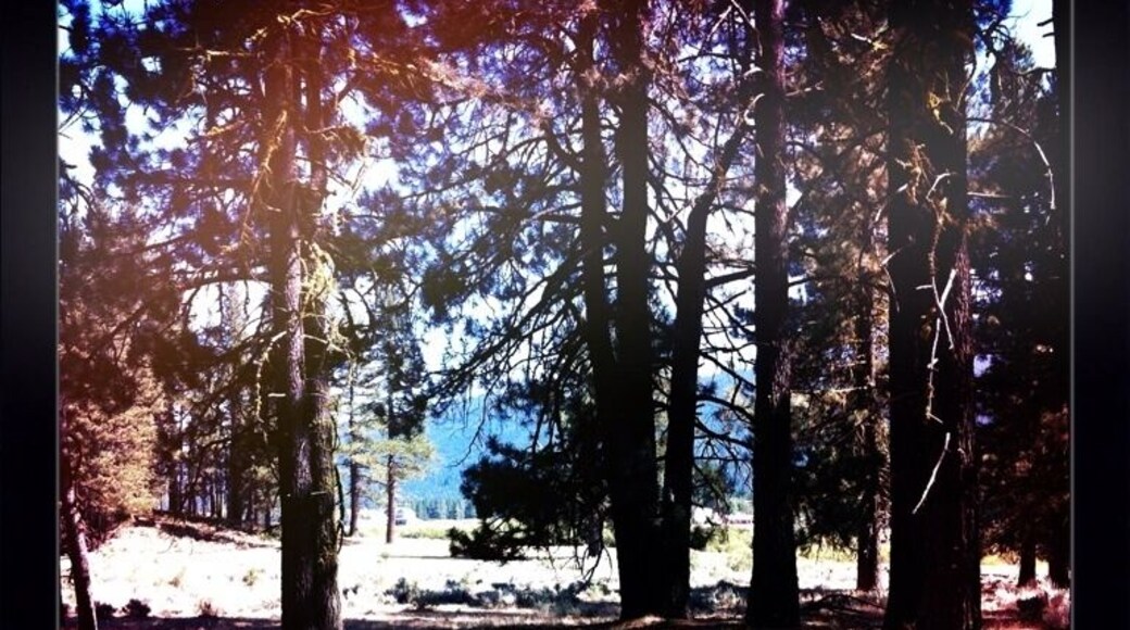 View of the meadow behind the campground. #camp