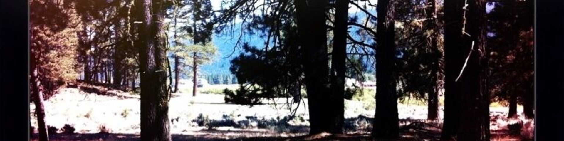 View of the meadow behind the campground. #camp