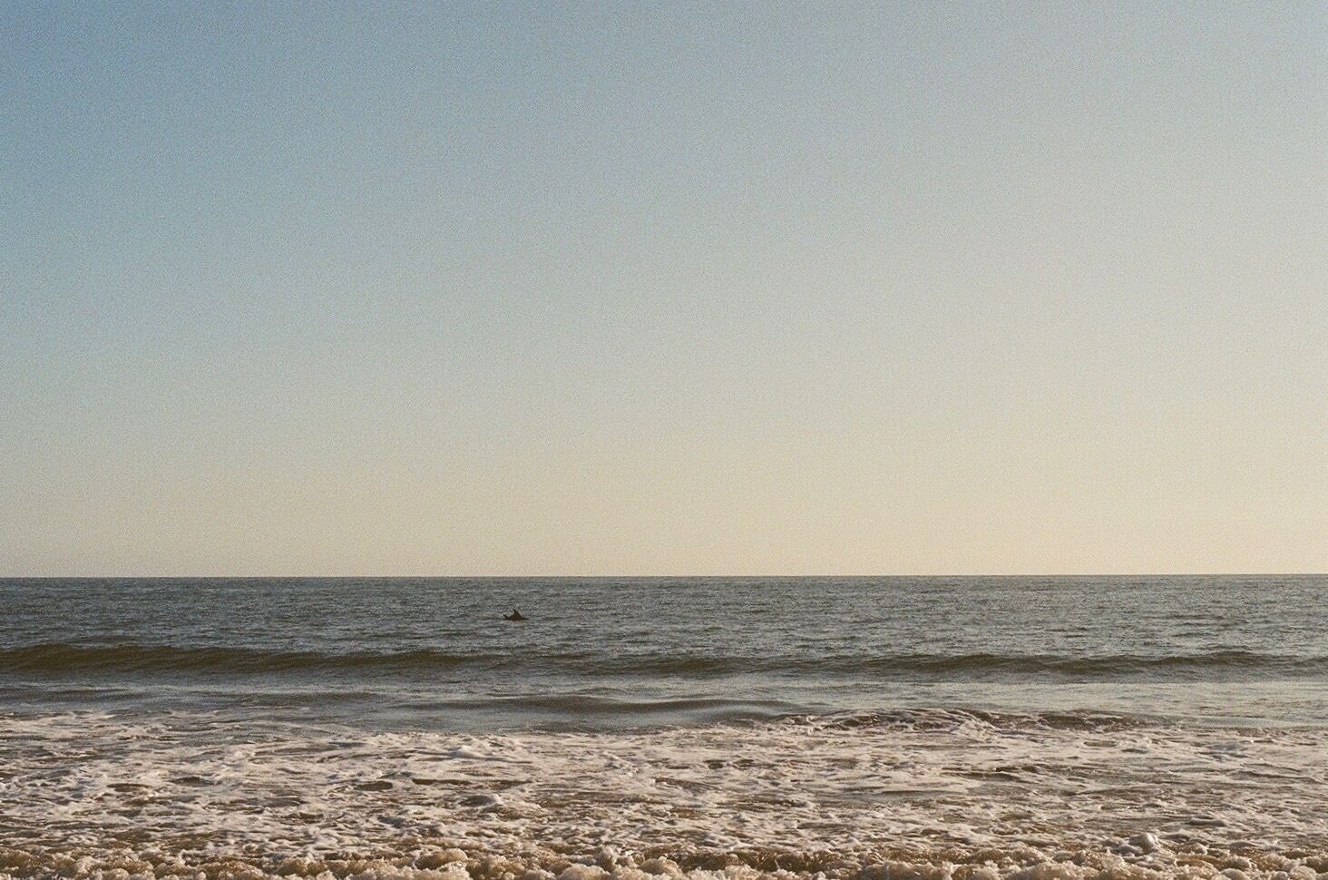 Sometimes the best adventures are the ones that take place in your front yard. This moment was certainly one of them as I watched these wild dolphins, minutes before jumping in to join them! Taken with Kodak 400 #adventure #35mm