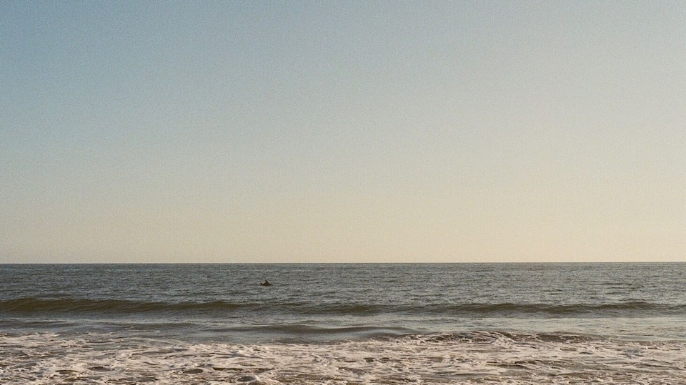 Sometimes the best adventures are the ones that take place in your front yard. This moment was certainly one of them as I watched these wild dolphins, minutes before jumping in to join them! Taken with Kodak 400 #adventure #35mm