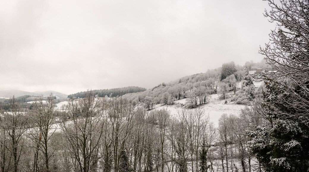Vielle pierres et porte de la chapelle Saint Roch à proximité de Cervières, route Les Rapeaux, Loire, France.