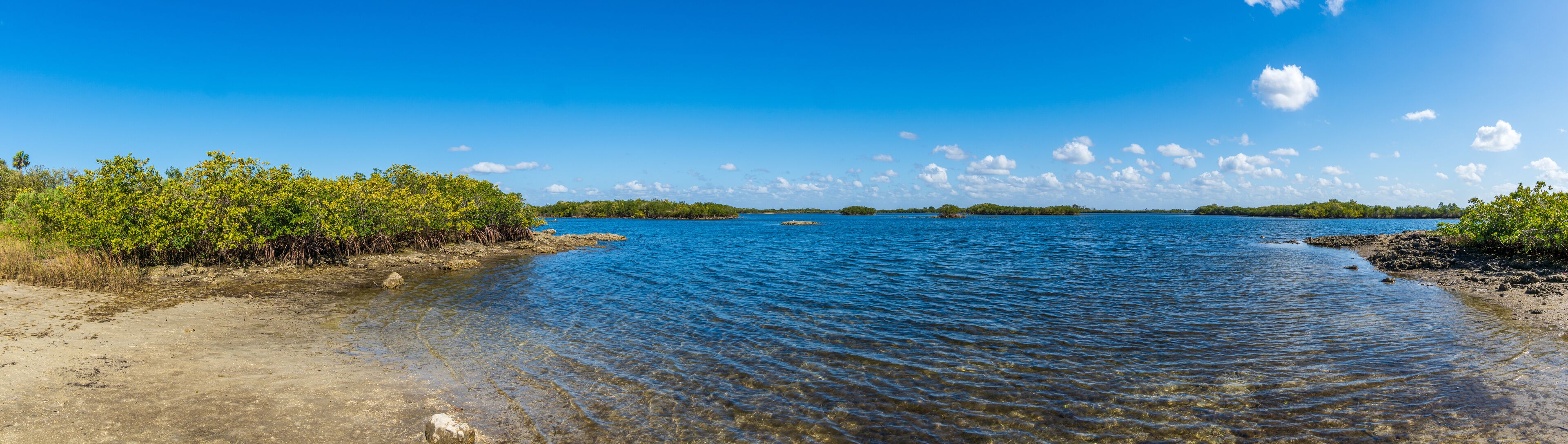 A calm river with clear water, surrounded by dense greenery and a clear blue sky.