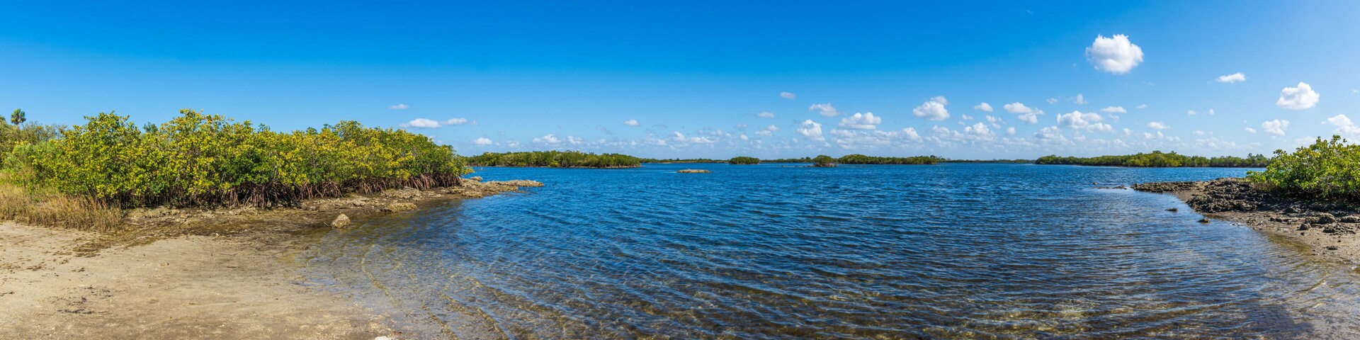 A calm river with clear water, surrounded by dense greenery and a clear blue sky.