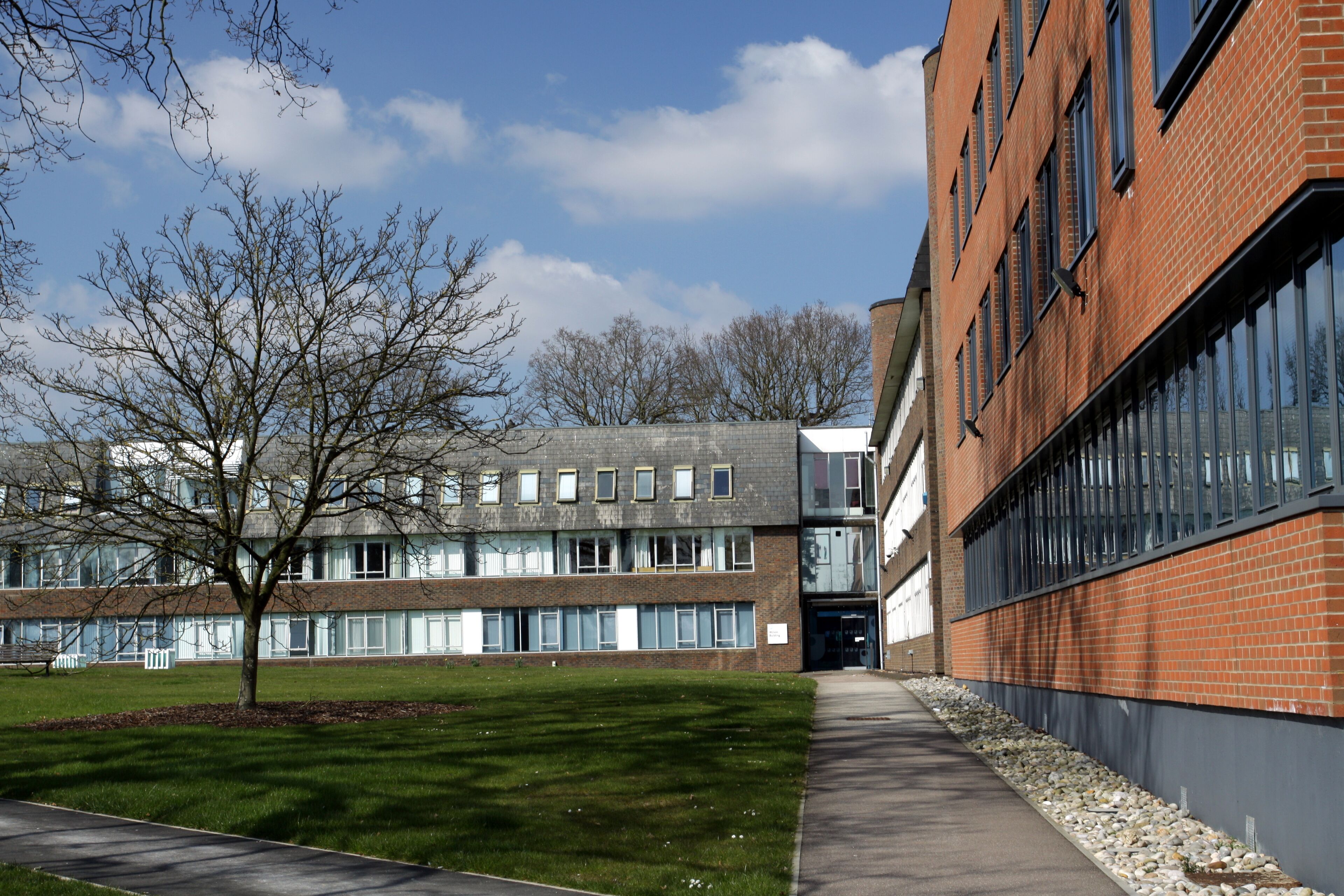 A modern building with a brick facade and large windows, surrounded by a grassy area and a tree.