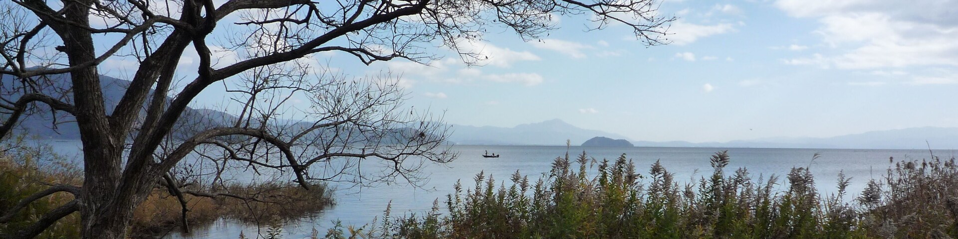 Un lago con un bote, rodeado de árboles y montañas a lo lejos.