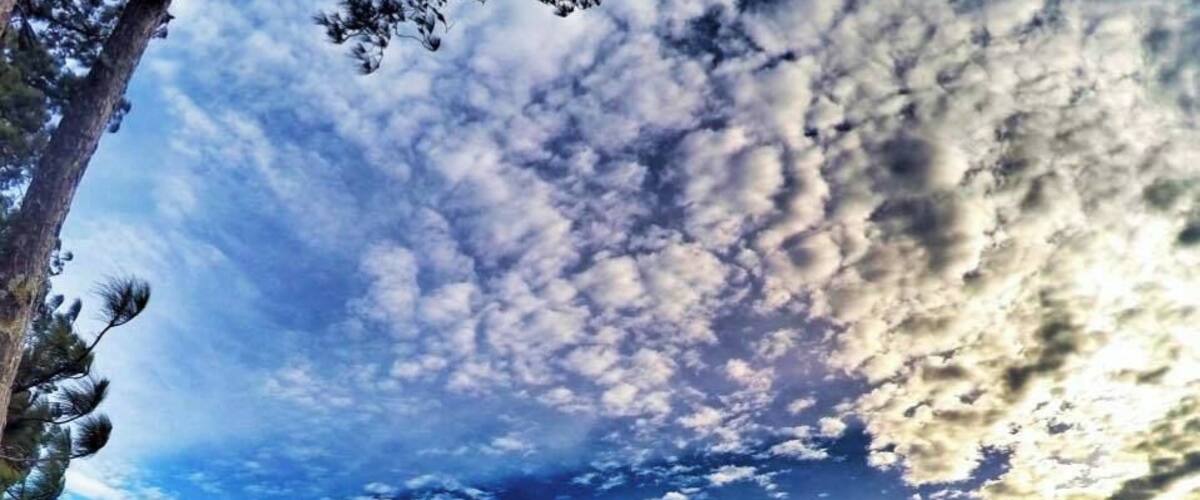 at the peak of bucari overview the rice terraces and the mountain ranges of leon, iloilo, phils. the summer capital of iloilo city.