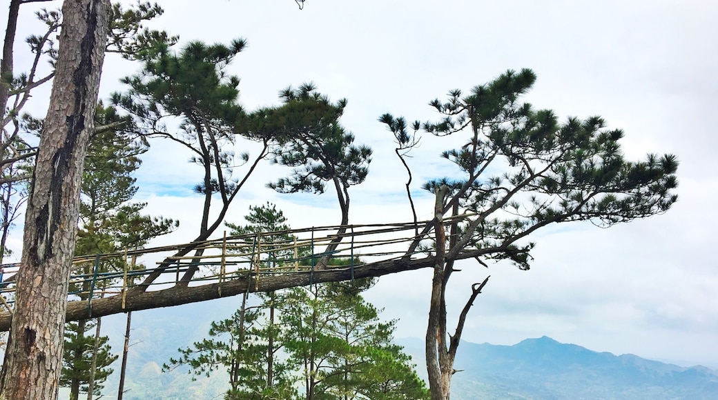 You have to do a 15 min trek to get to this cool and wonderful place.