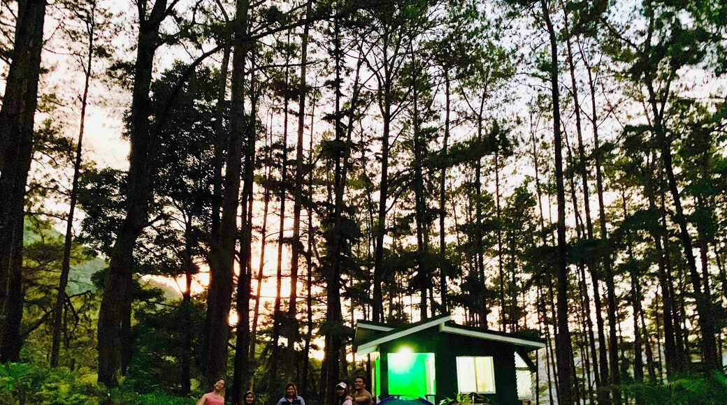 Sunsets is wonderful