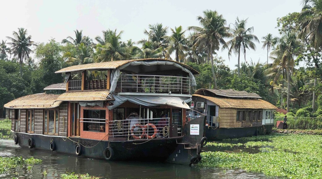 The backwaters in Kerala are lovely. Spending a relaxing night on a houseboat was definitely a really cool thing to do.