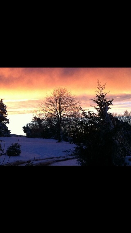 In the evening