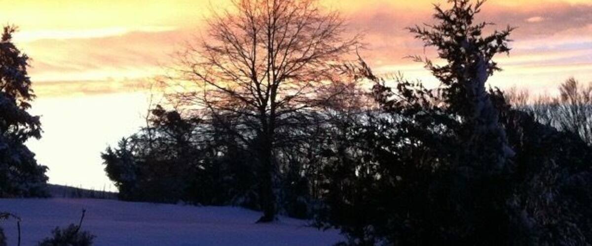 A snowy landscape with trees silhouetted against a sunset sky.