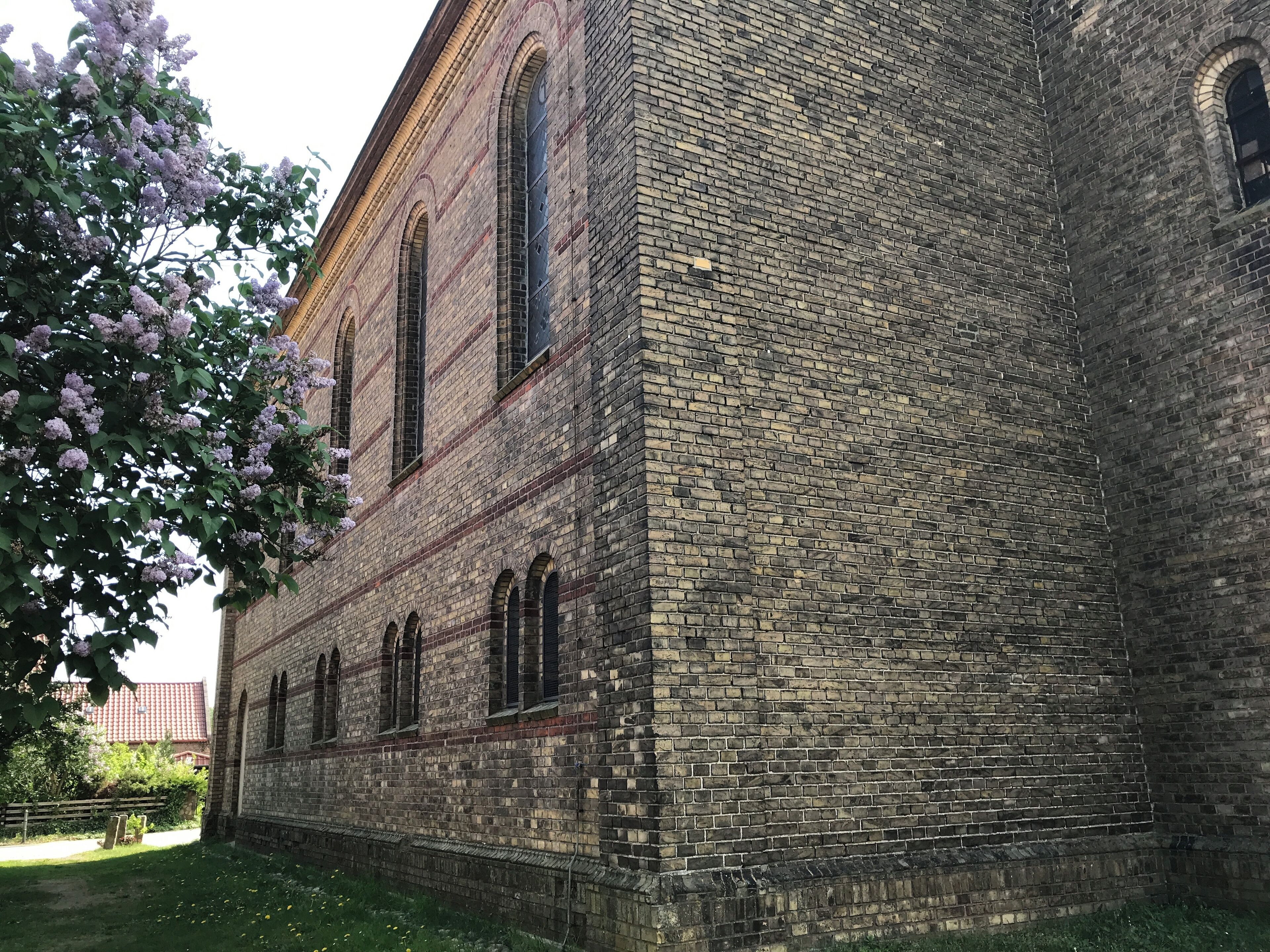 A historic brick building with arched windows and a tree with purple flowers in the foreground.