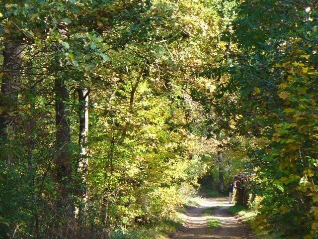 Finkenstein - Weg Zur Erholung