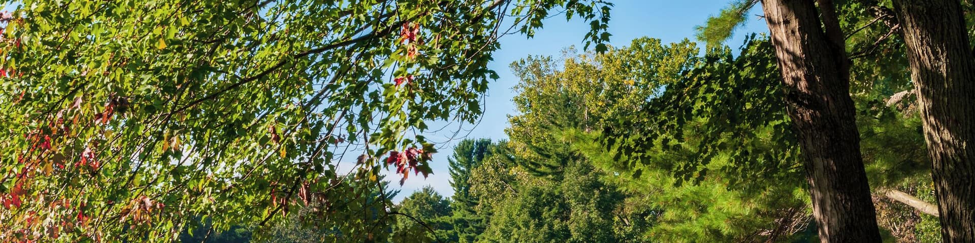 Went and stayed overnight, we brought our RV to visit with my wife's family whom stay there on weekends throughout the summer. Very nice family style campground. Plenty of space and tons of things for kids and family to do!