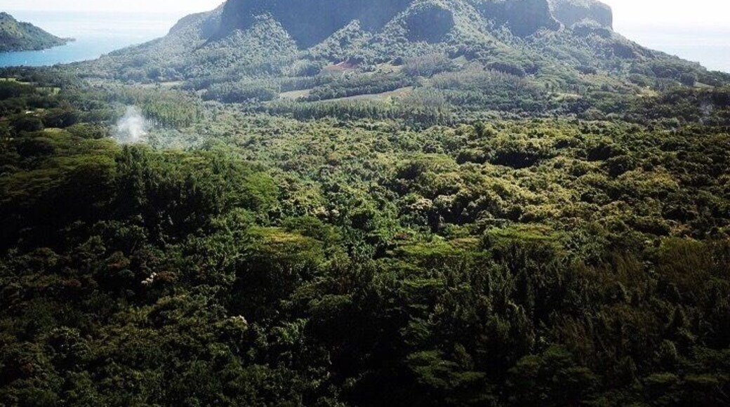 Mt Rotui is one of several natural landmarks of Mo’orea island. It lies in between Opunohu bay and Paopao bay.