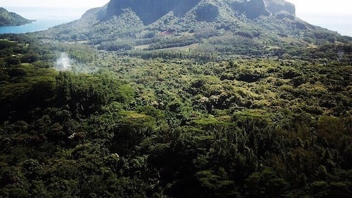 Mt Rotui is one of several natural landmarks of Mo’orea island. It lies in between Opunohu bay and Paopao bay.