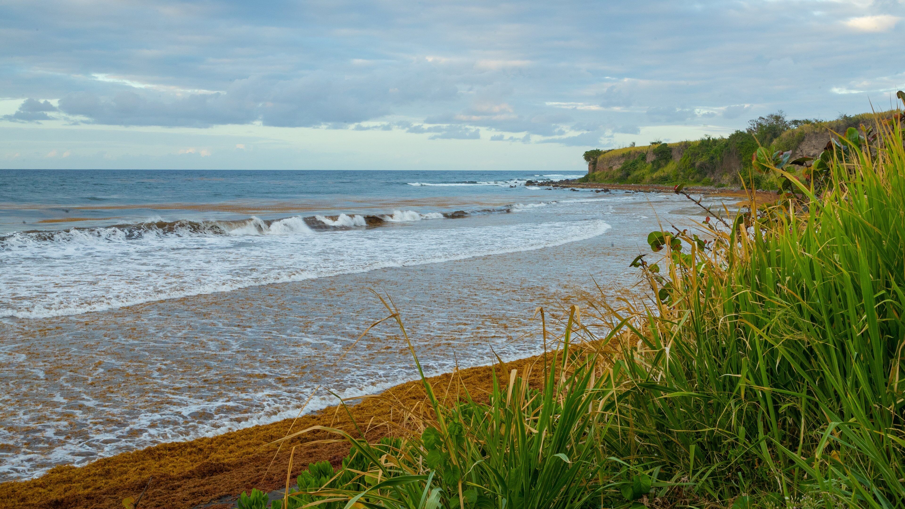 Saddlers Village featuring general coastal views
