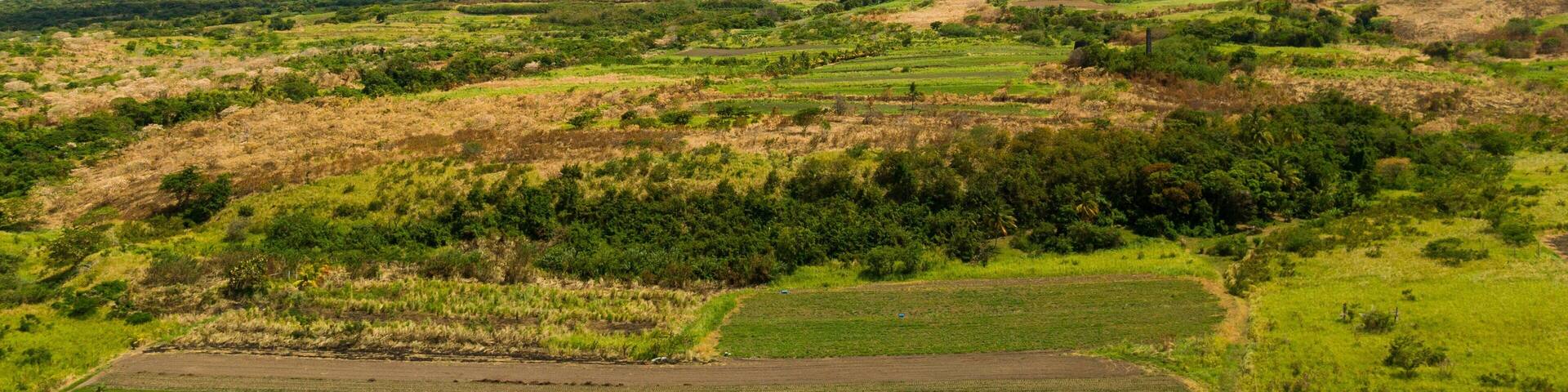 Saddlers Village showing mountains and tranquil scenes
