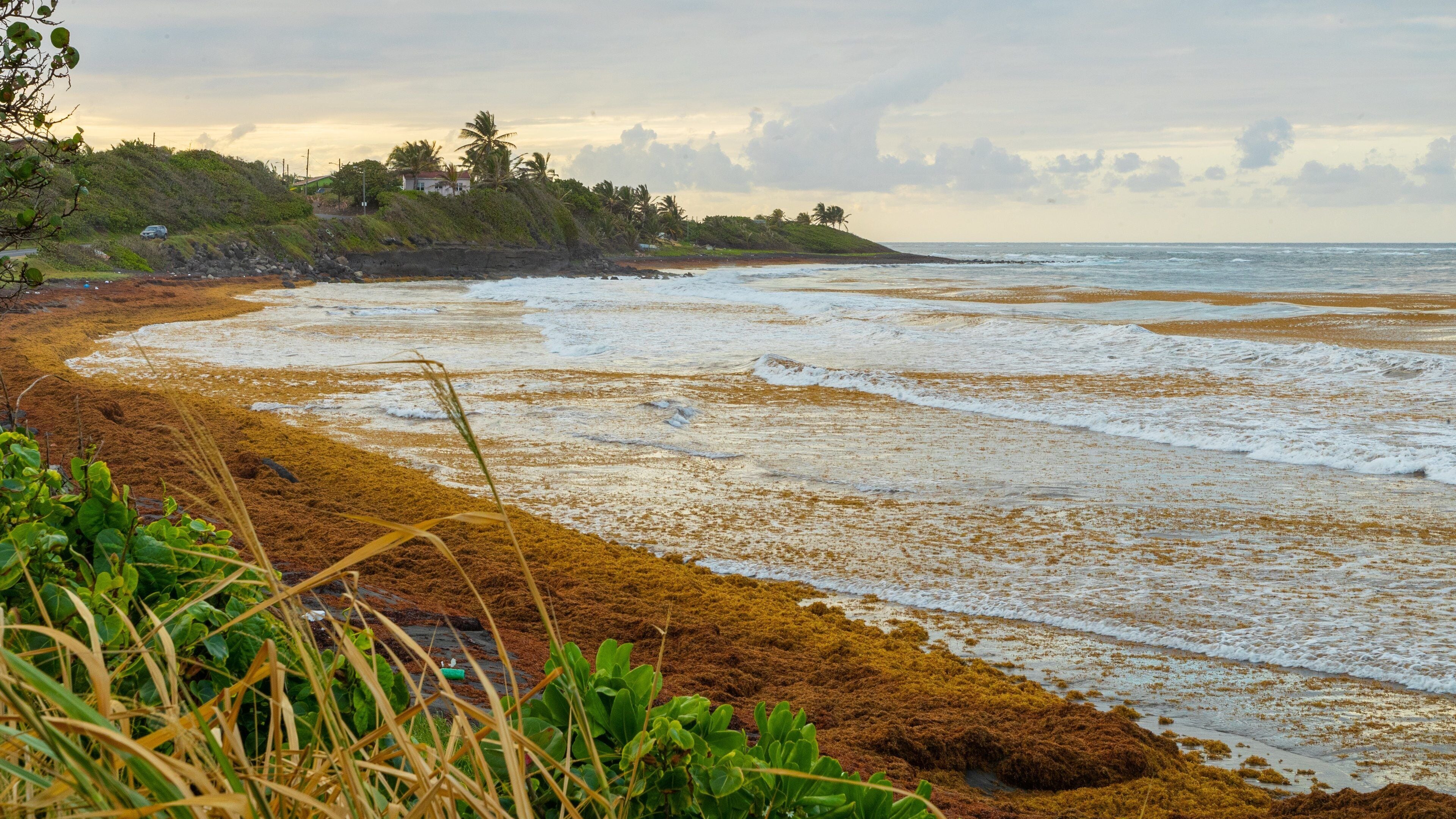 Saddlers Village which includes a sunset and general coastal views