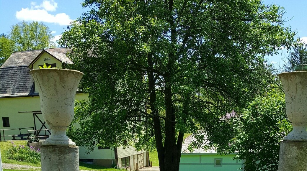 Spring weather brings everyone out to bask in the sun #springfun