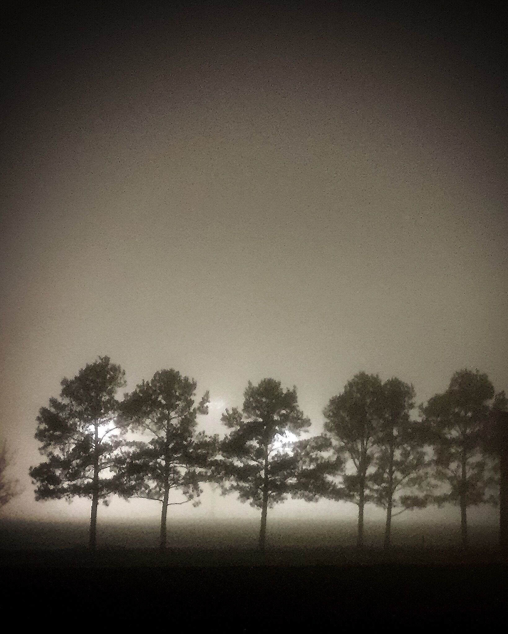 Driving down the freeway on a foggy night. The local high school stadium lights were on and backlit these pine trees from across the practice fields. Was headed home from the gym and all I had was my iPhone but still had to pull over and had to take the shot. 