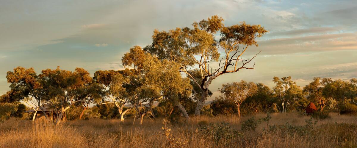 Karijini Landscape, Western Australia