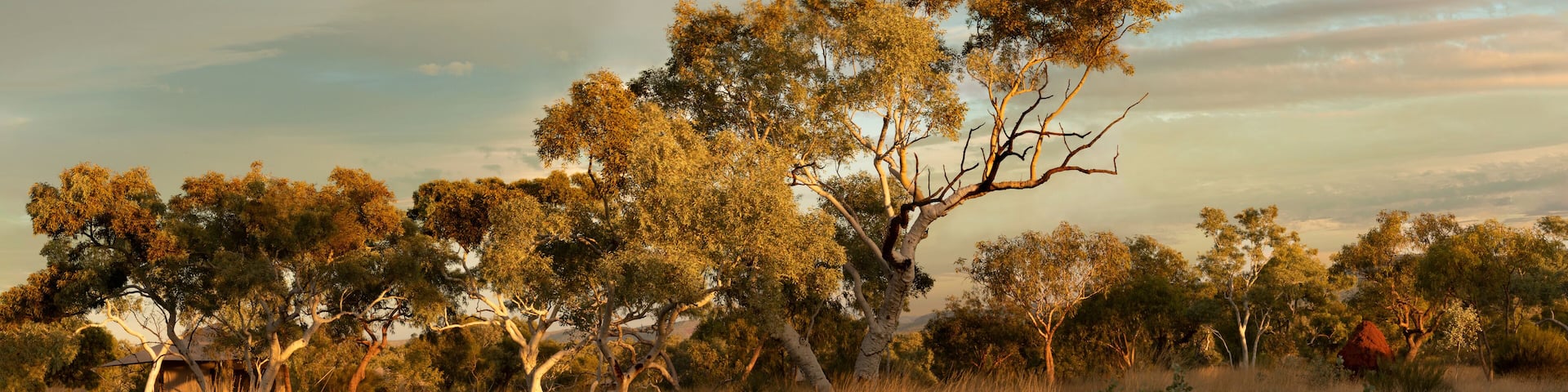 Karijini Landscape, Western Australia