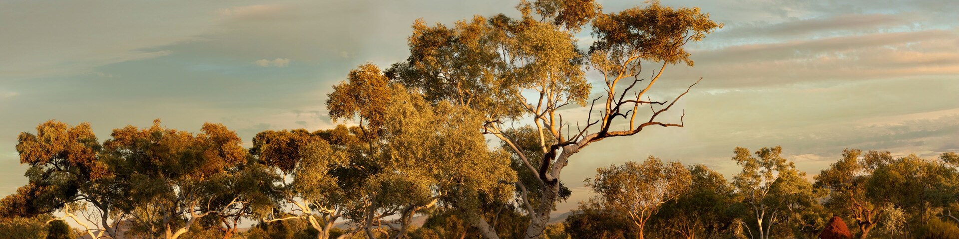 Karijini Landscape, Western Australia