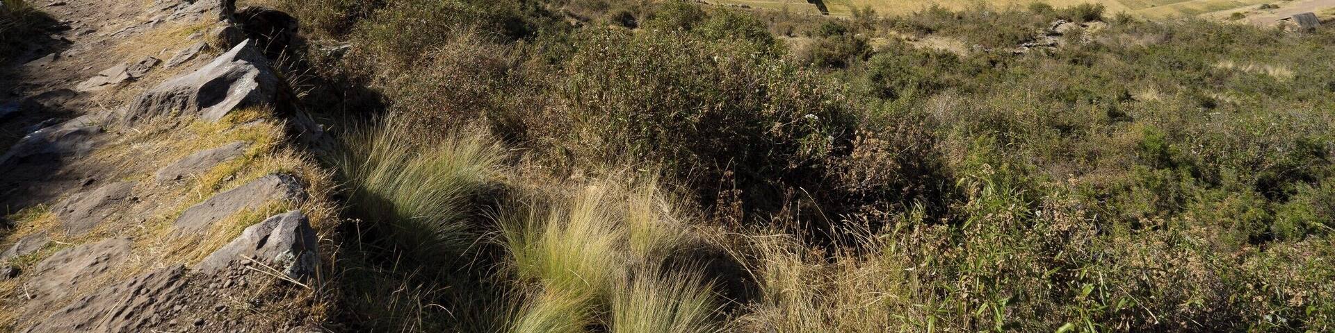 One of my favorite places I visited in Peru. We got there as the sun was coming up, and no one else was at the site for a good 2 hours. There was an amazing amount of working Incan waterways through here. The sound of running water was everywhere, with a public waterfall/fountain, and lots of water channels running through the whole site. It was preserved immaculately, and was a highlight of the trip for us, even though it started as an afterthought.